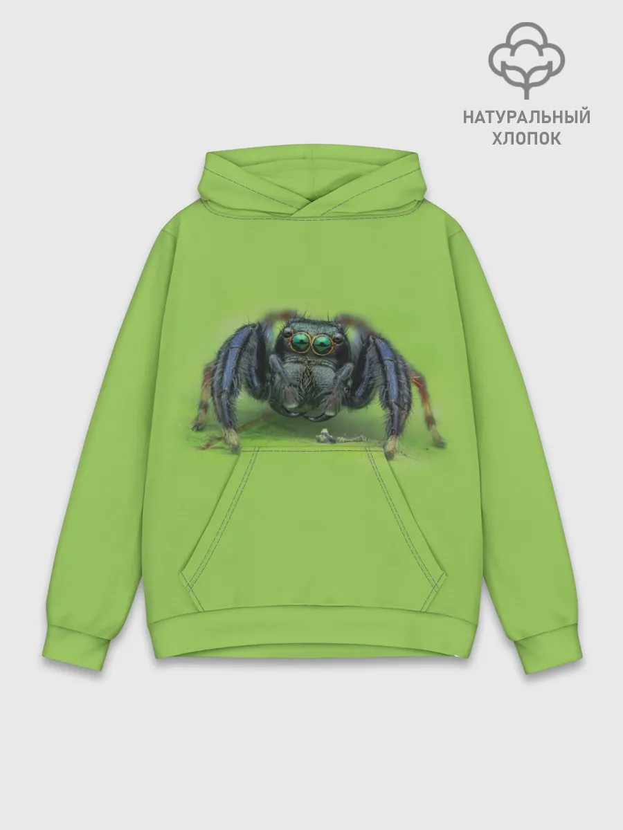 Худи мужской база хлопок / ПАУК С ГЛАЗКАМИ
