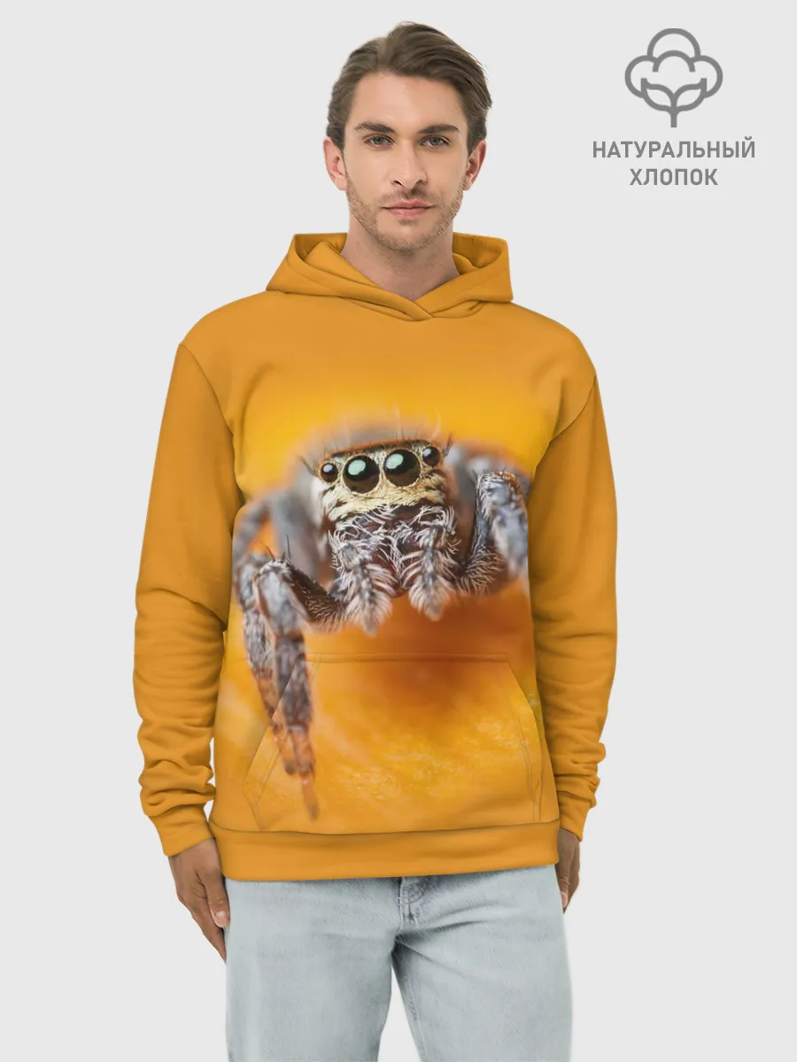 Худи мужской база хлопок / ПАУК / SPIDER