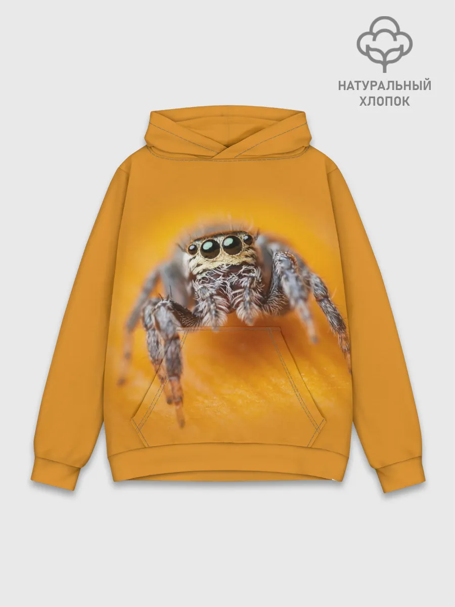 Худи мужской база хлопок / ПАУК / SPIDER