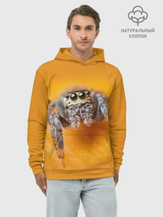 Худи мужской база хлопок / ПАУК / SPIDER