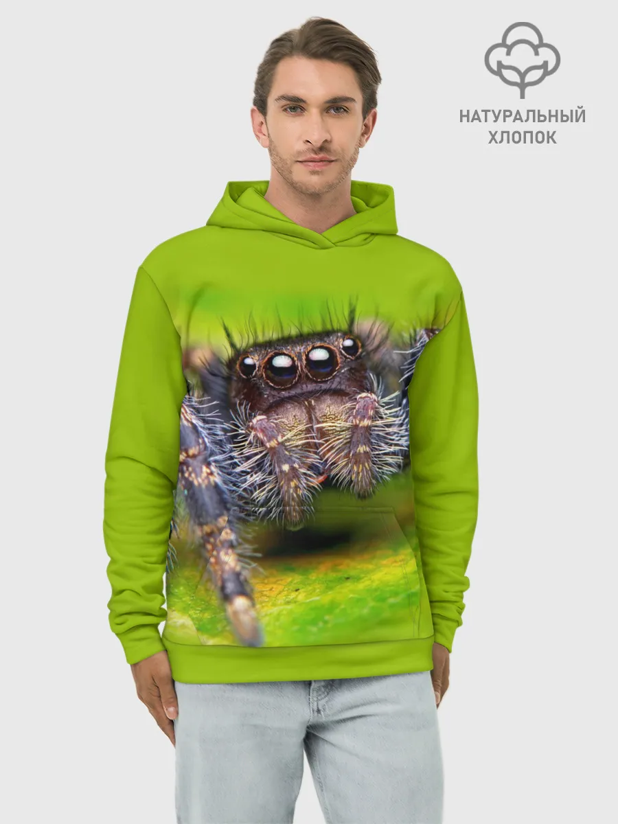Худи мужской база хлопок / ПАУК МАКРО