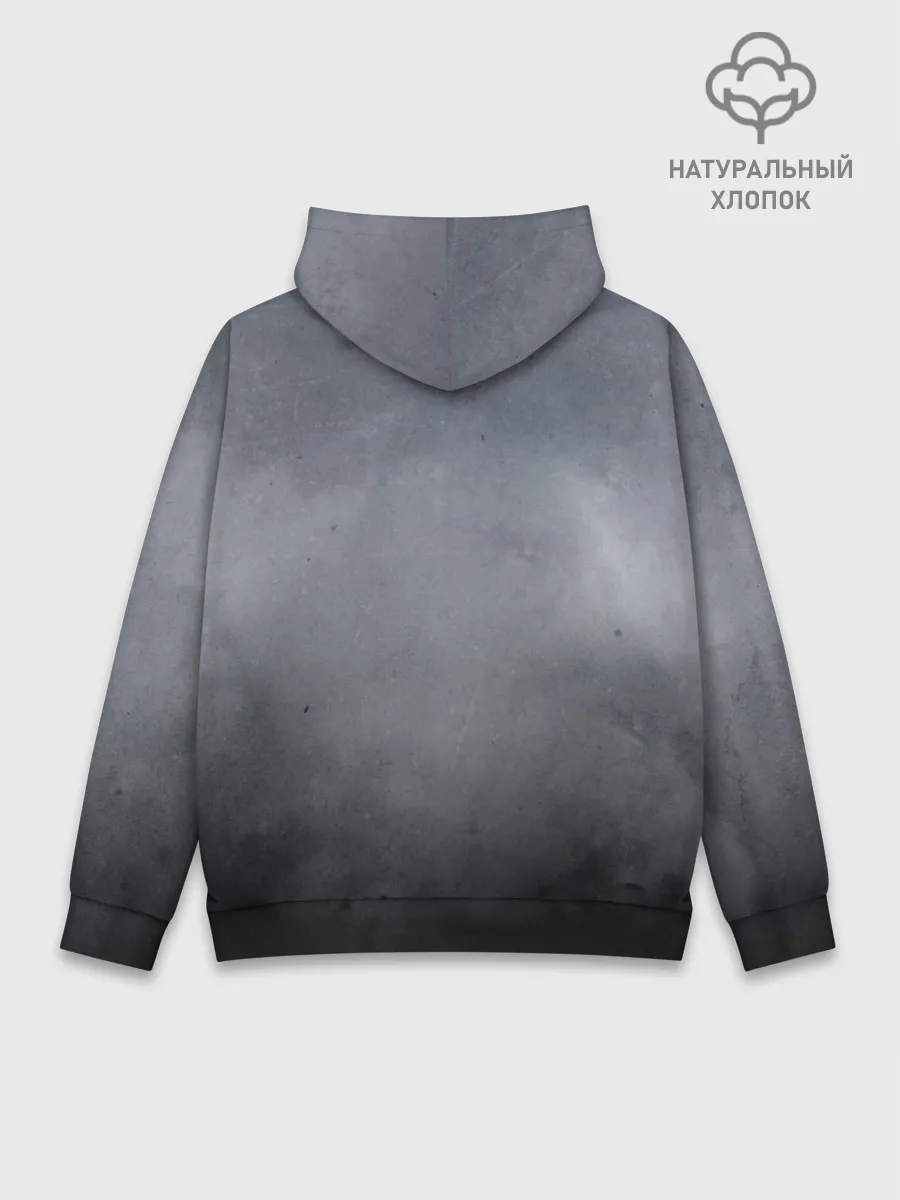 Худи мужской база хлопок / Kane Harry