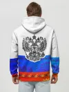 Худи мужской база хлопок / Russia 3