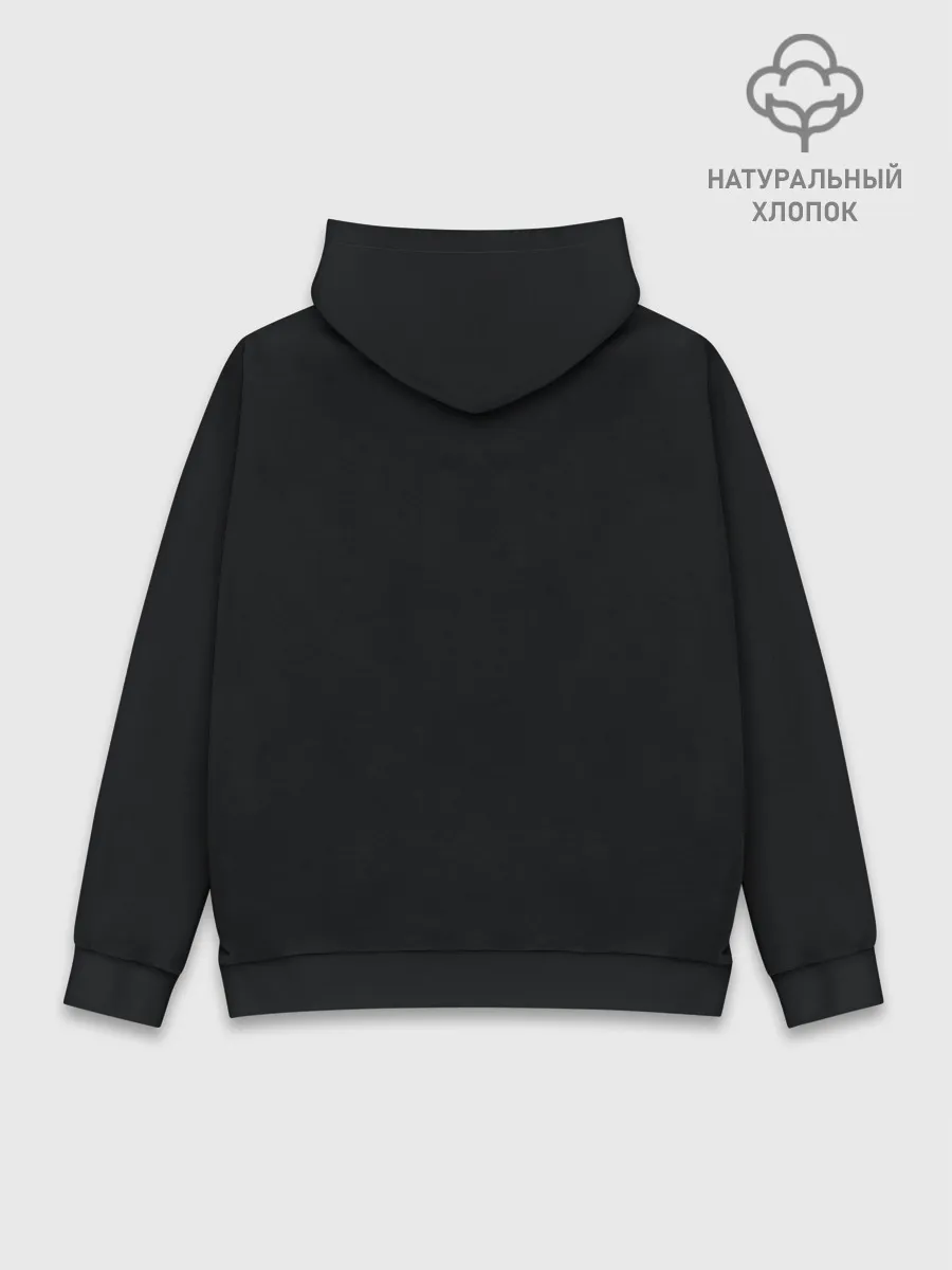 Худи мужской база хлопок / Агент постижения