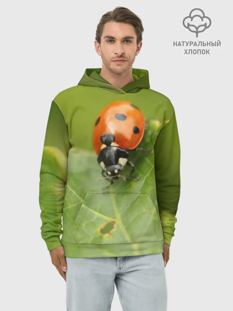 Худи мужской база хлопок / Божья коровка