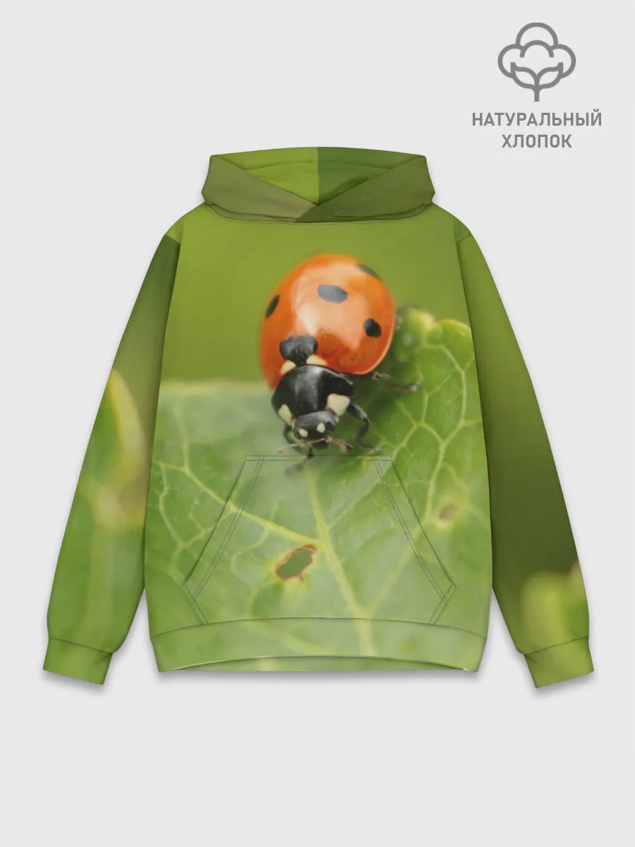 Худи мужской база хлопок / Божья коровка
