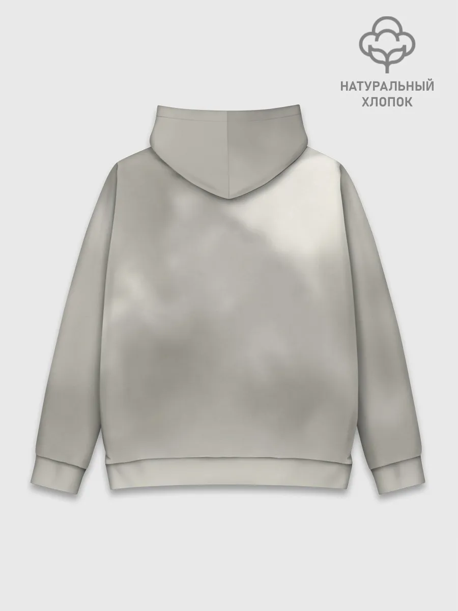 Худи мужской база хлопок / Team Bison