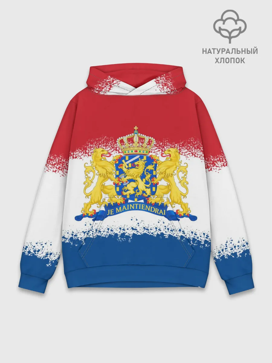Худи мужской база хлопок / Нидерланды