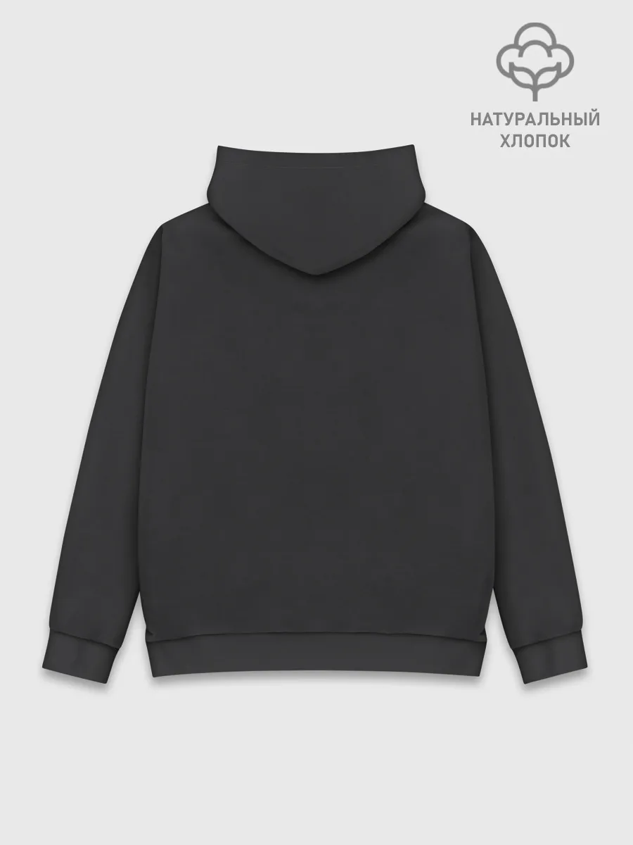 Худи мужской база хлопок / Steven Tyler | AEROSMITH