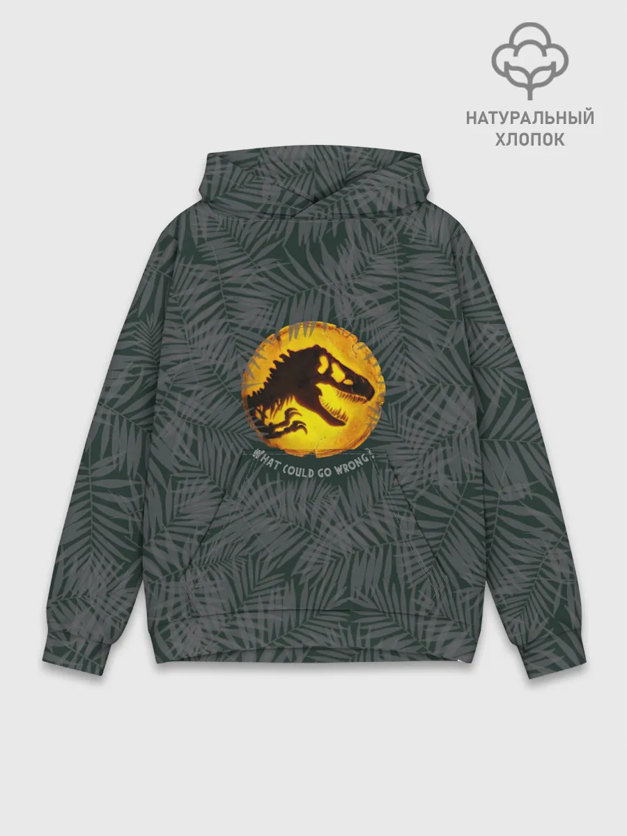 Худи мужской база хлопок / JWDominion#2