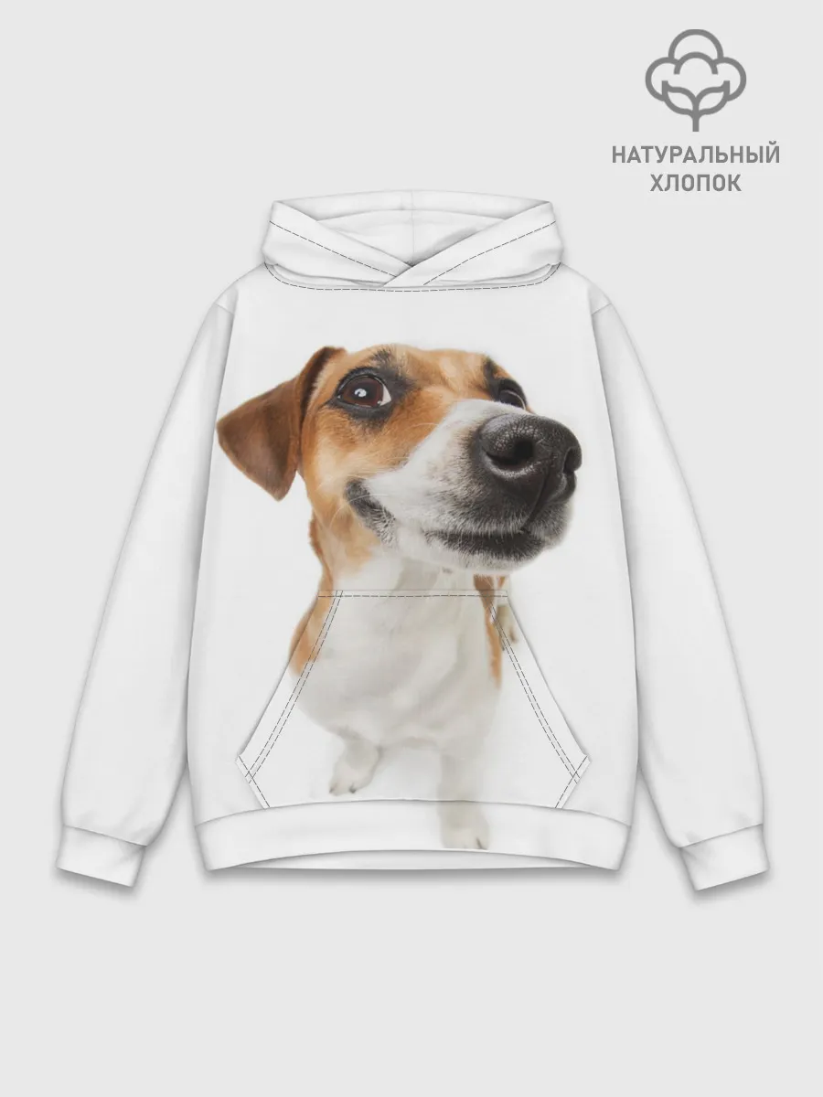 Худи мужской база хлопок / Собака
