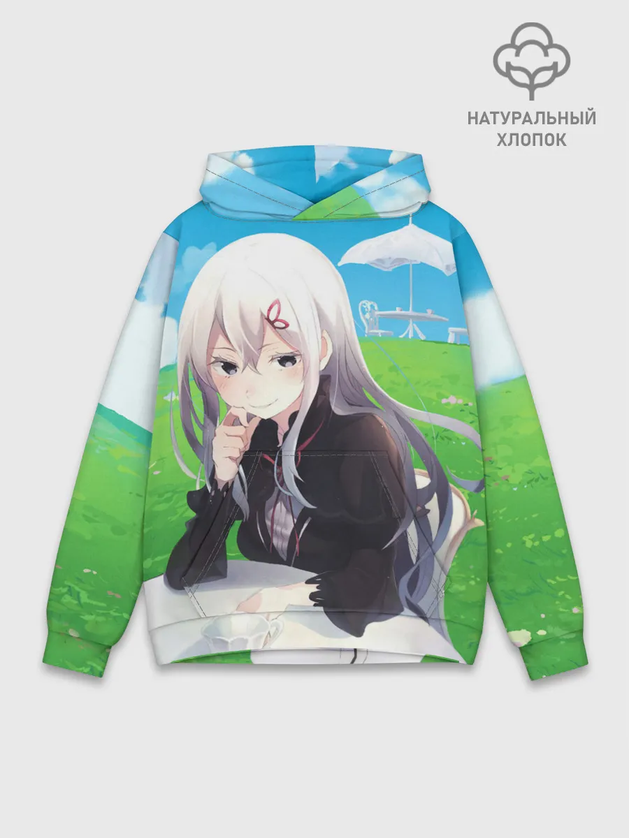 Худи мужской база хлопок / Echidna