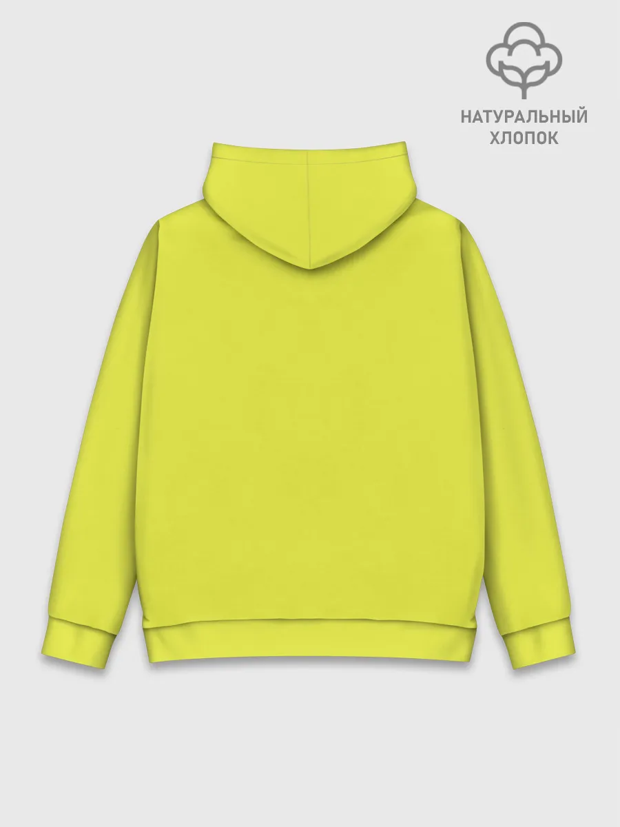 Худи мужской база хлопок / Черепашья банда