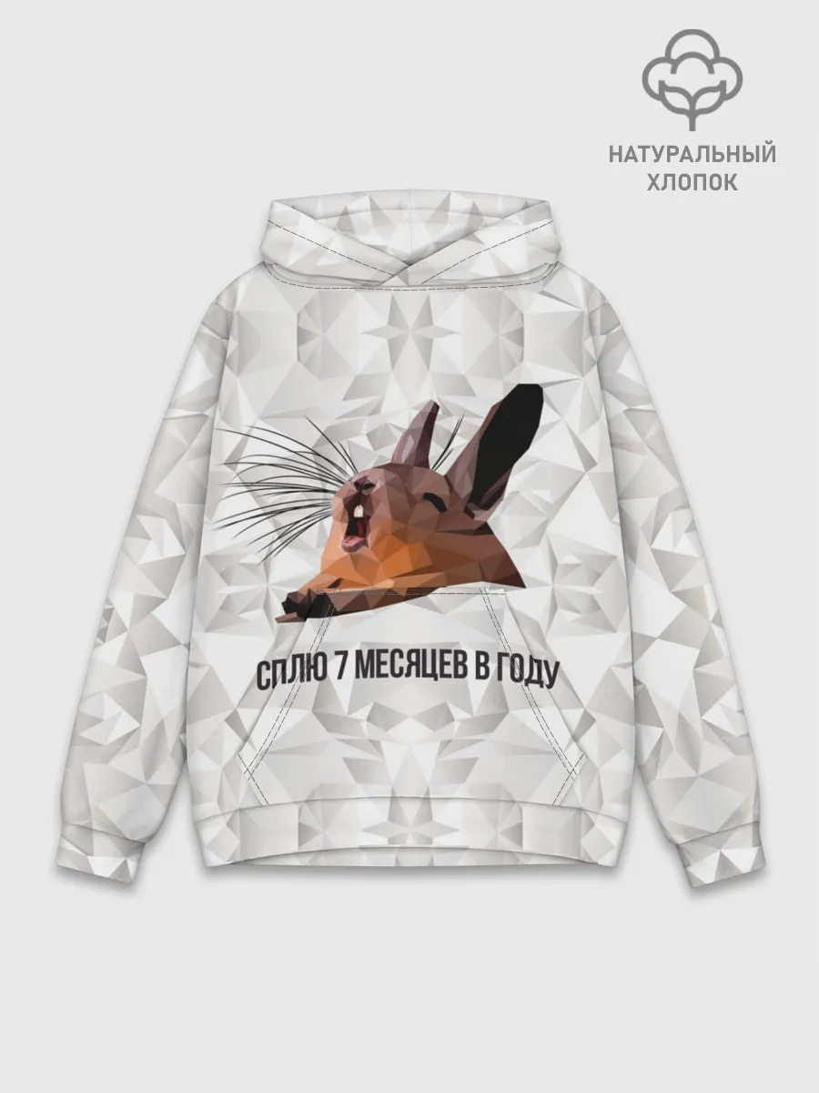 Худи мужской база хлопок / Сурок