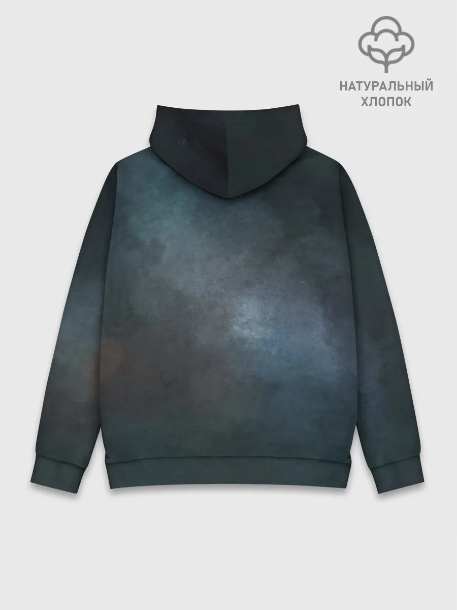 Худи мужской база хлопок / Neo truck