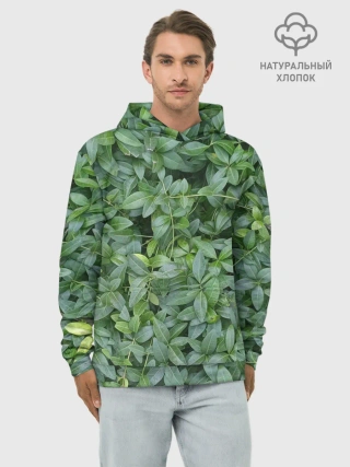 Худи мужской база хлопок / Барвинок