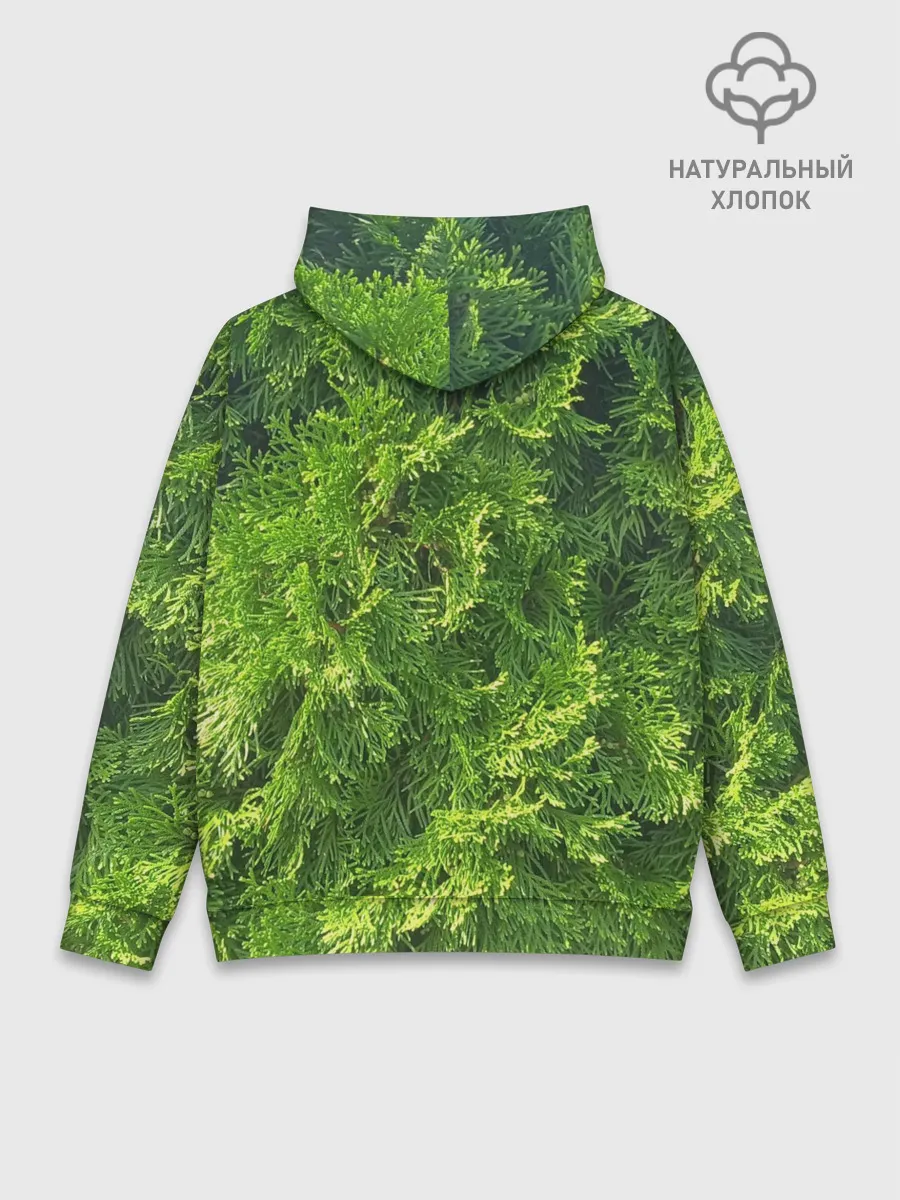 Худи мужской база хлопок / Хвойная масса