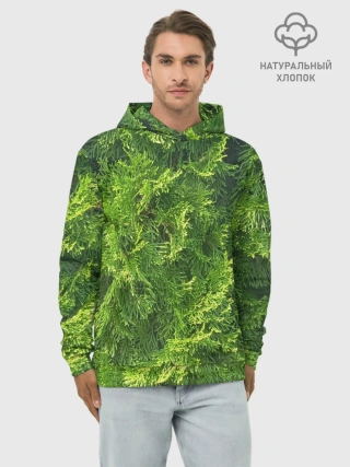 Худи мужской база хлопок / Хвойная масса