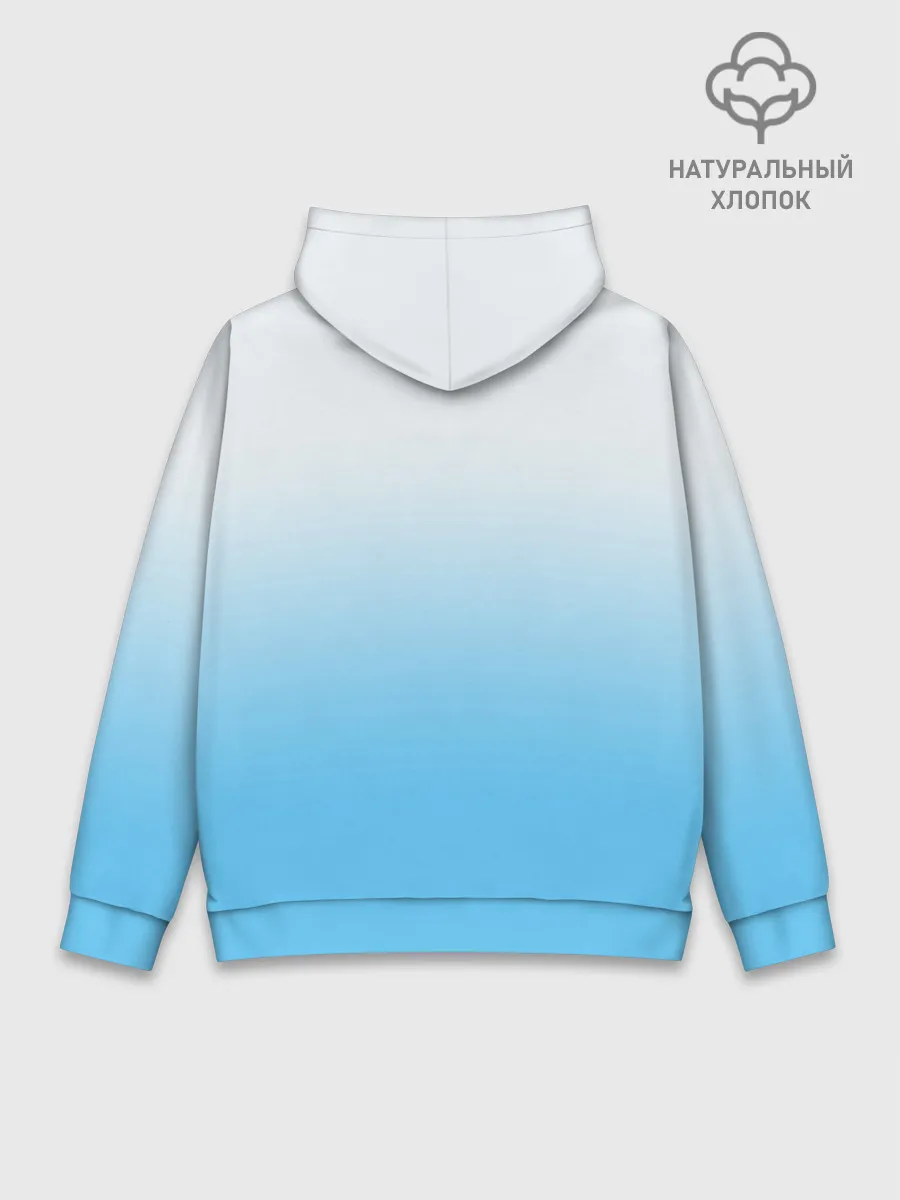 Худи мужской база хлопок / SONIC | AMY ROSE