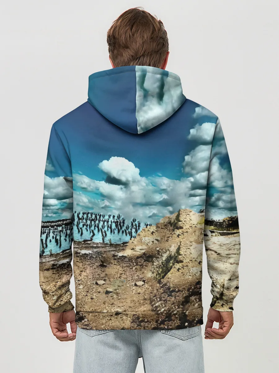 Худи мужской база хлопок / Мумий Тролль Владивосток 2000