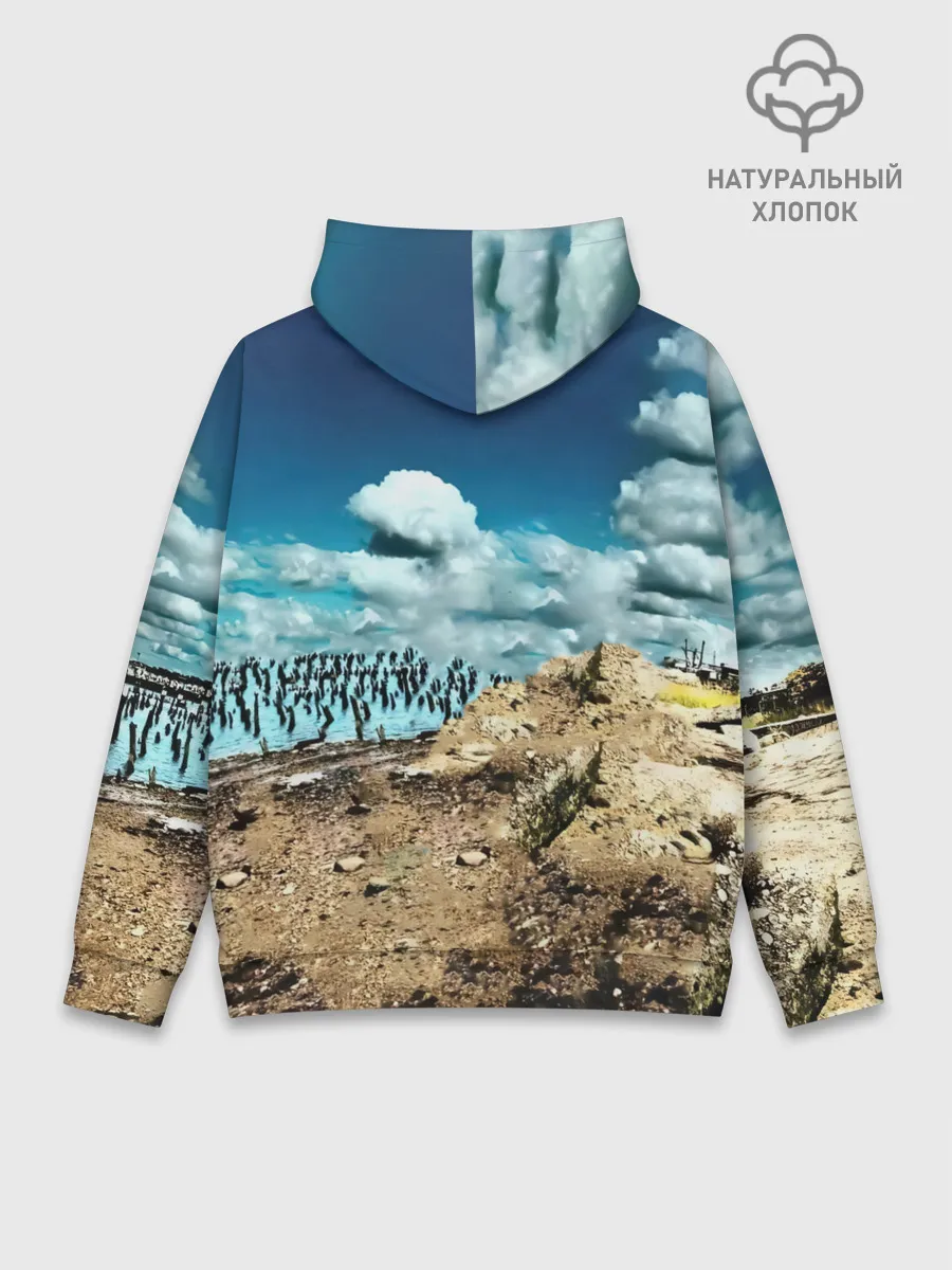 Худи мужской база хлопок / Мумий Тролль Владивосток 2000