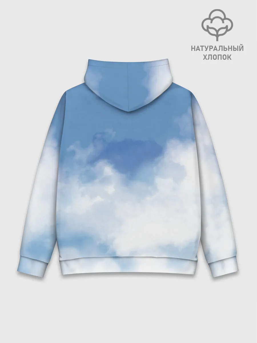 Худи мужской база хлопок / Воздух