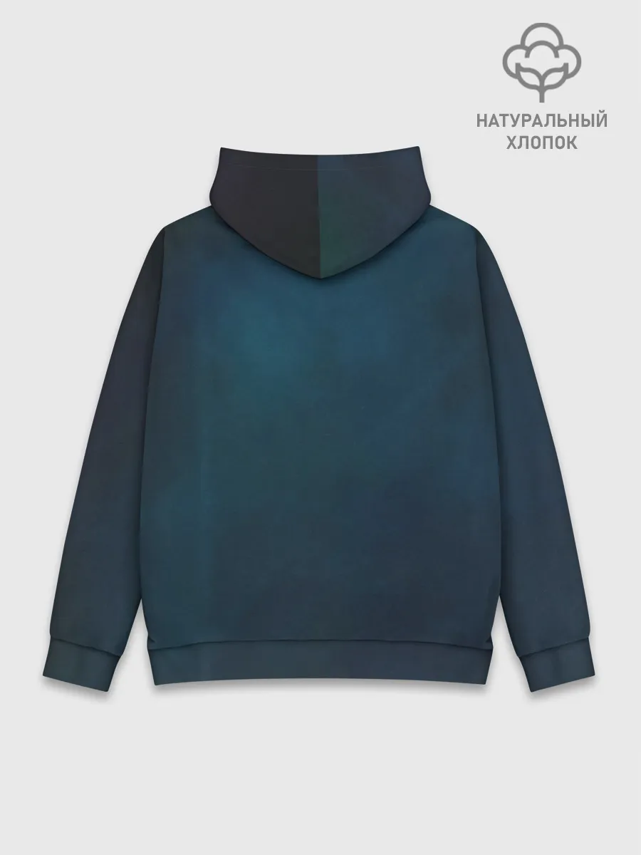 Худи мужской база хлопок / Скрип на концерте