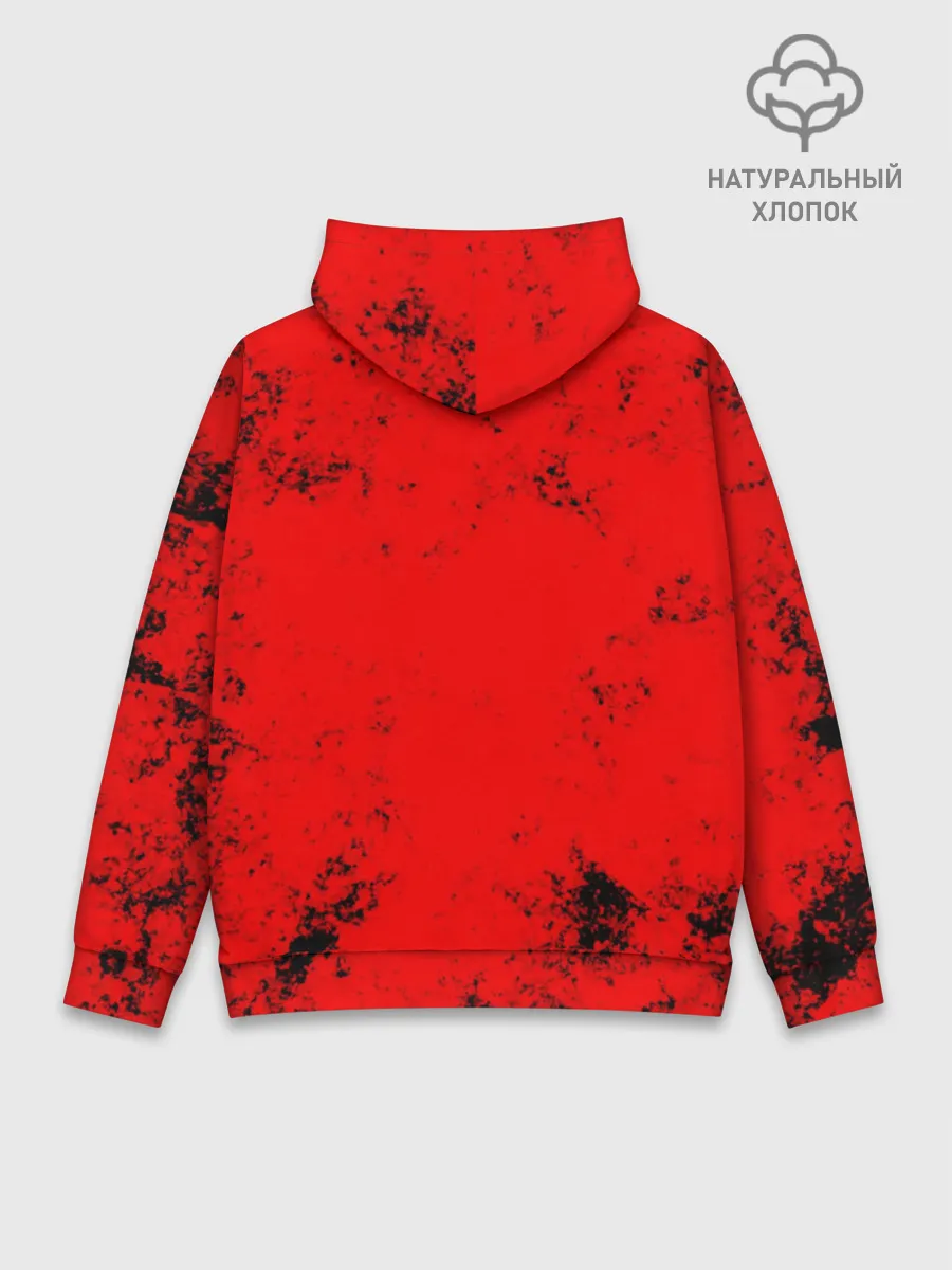 Худи мужской база хлопок / RAVEN