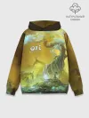 Худи мужской база хлопок / Ori | Ori and the Will of the Wisps