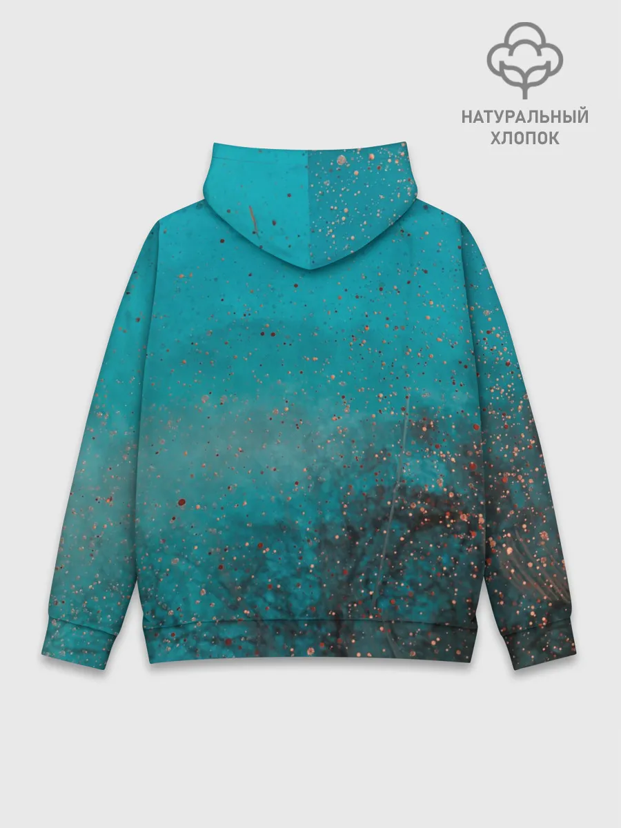 Худи мужской база хлопок / Препятствия на пути к цели