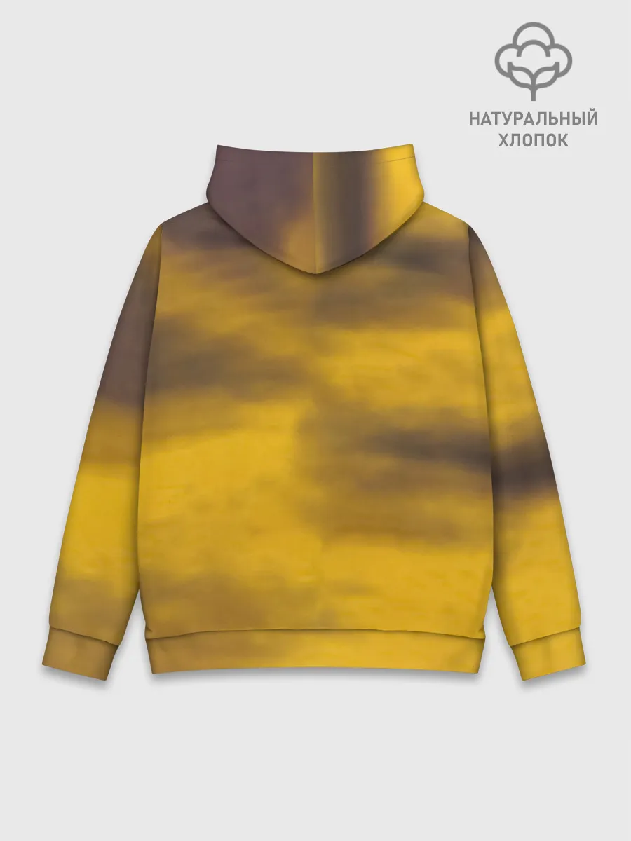 Худи мужской база хлопок / Black-Ash Inheritance - In Flames