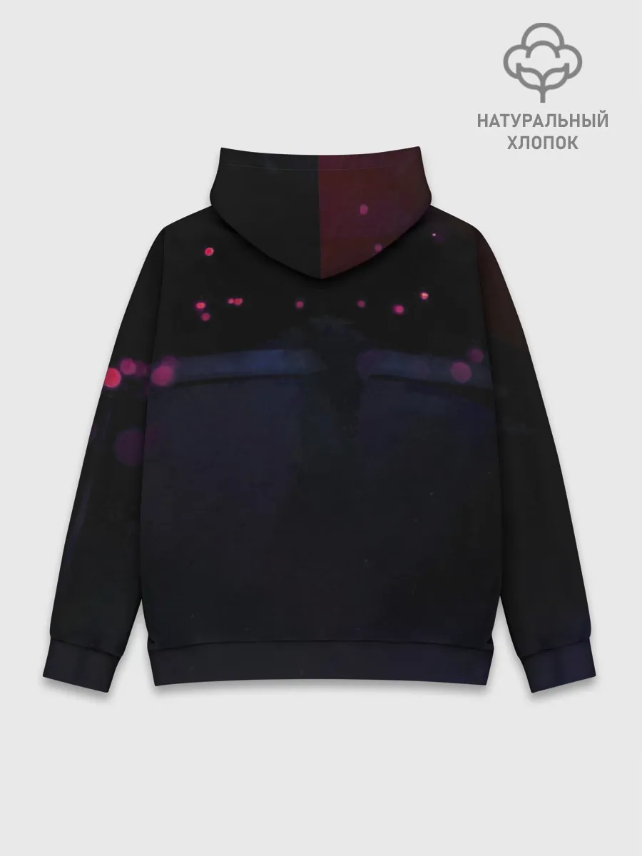 Худи мужской база хлопок / Нежная Лана