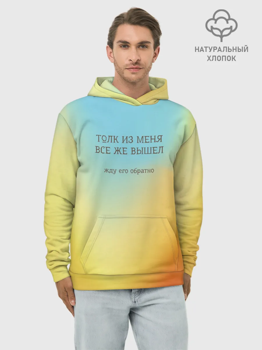 Худи мужской база хлопок / Толк из меня вышел