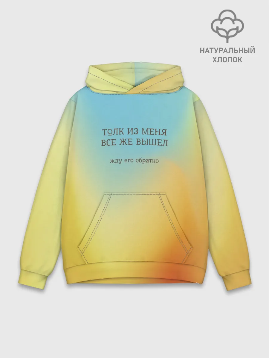 Худи мужской база хлопок / Толк из меня вышел