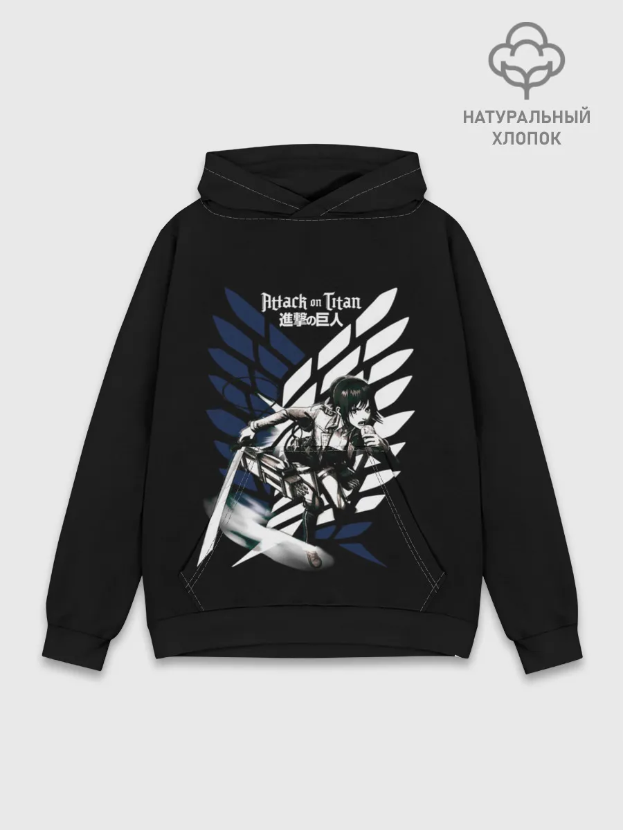 Худи мужской база хлопок / Имир на фоне герба Разведкорпуса