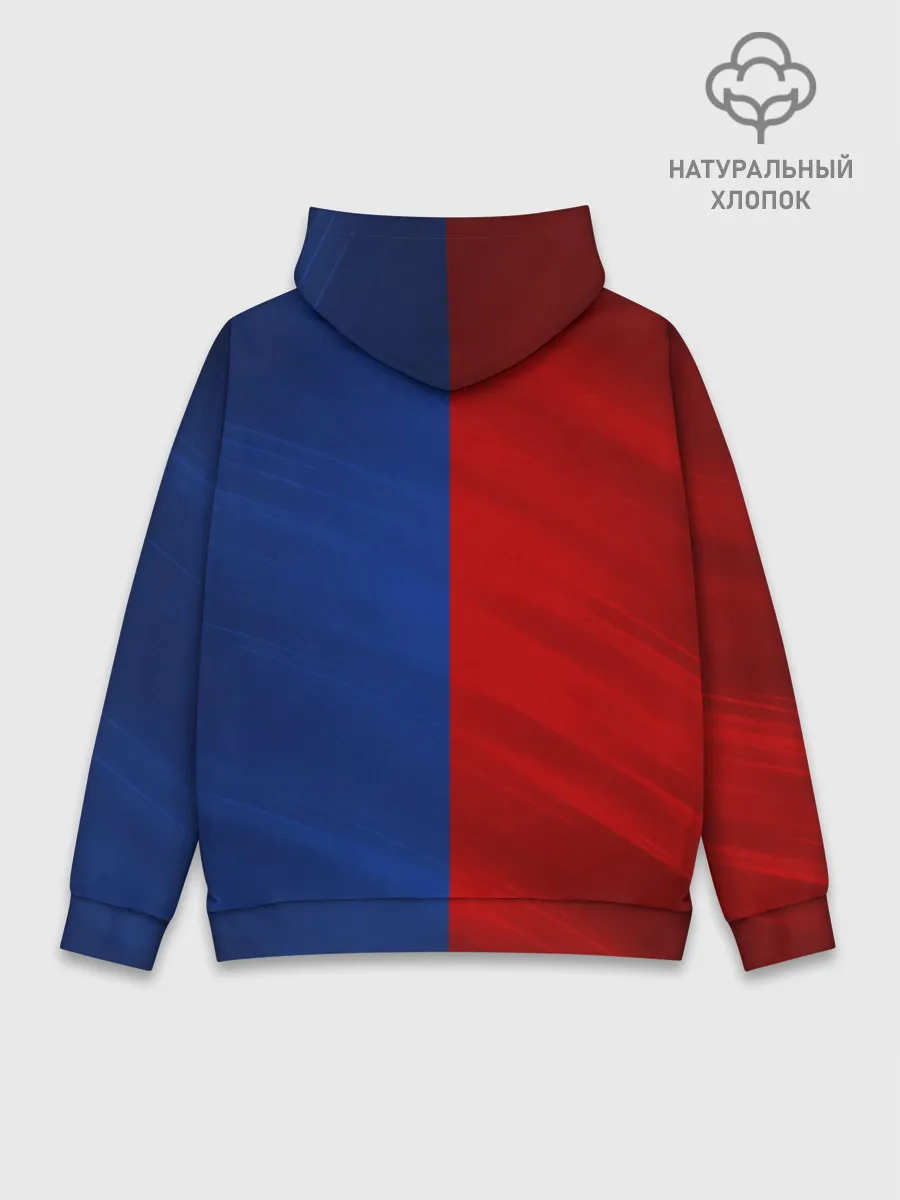 Худи мужской база хлопок / Логотип Alpina