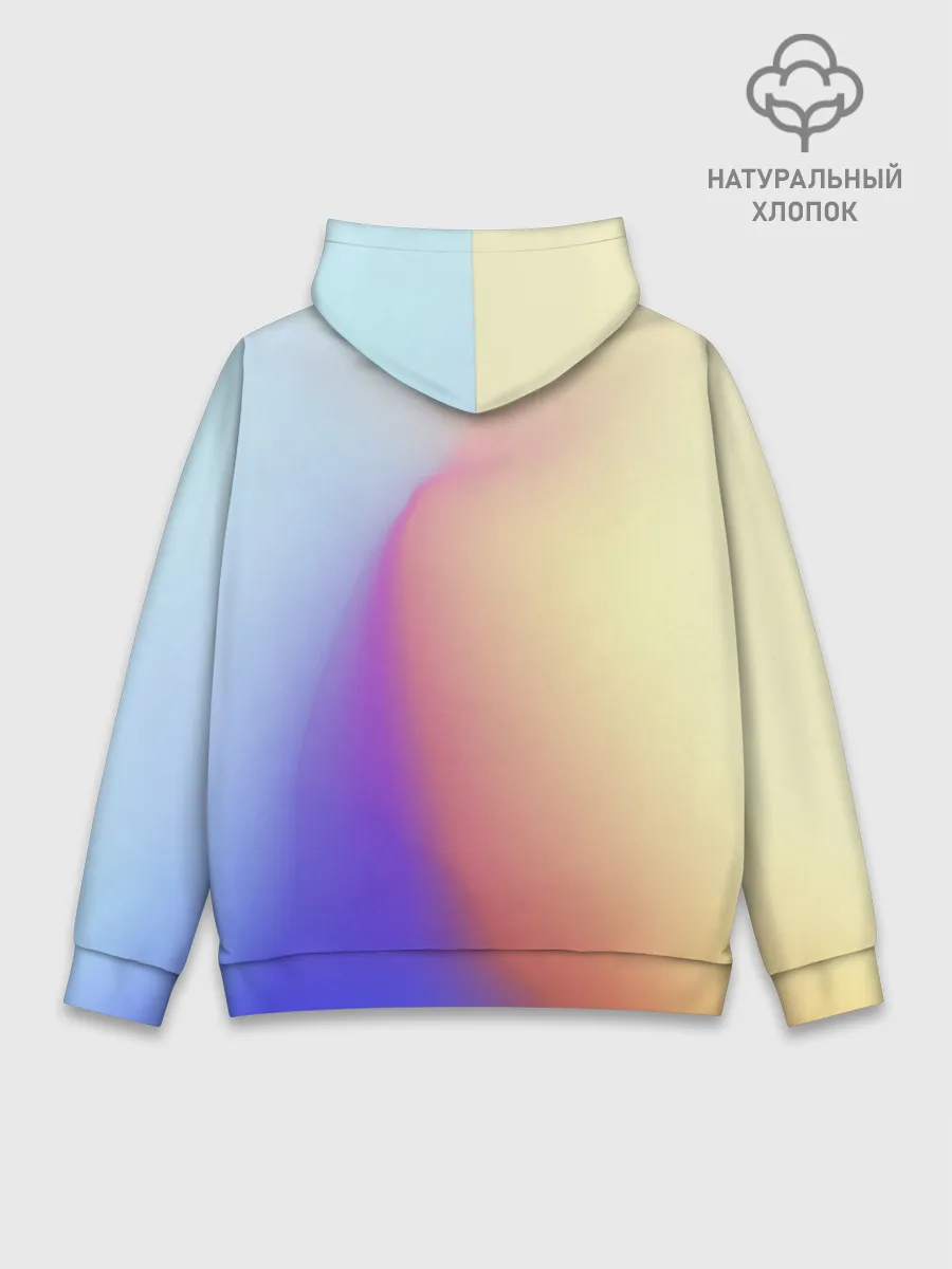 Худи мужской база хлопок / Концентрат адеквата