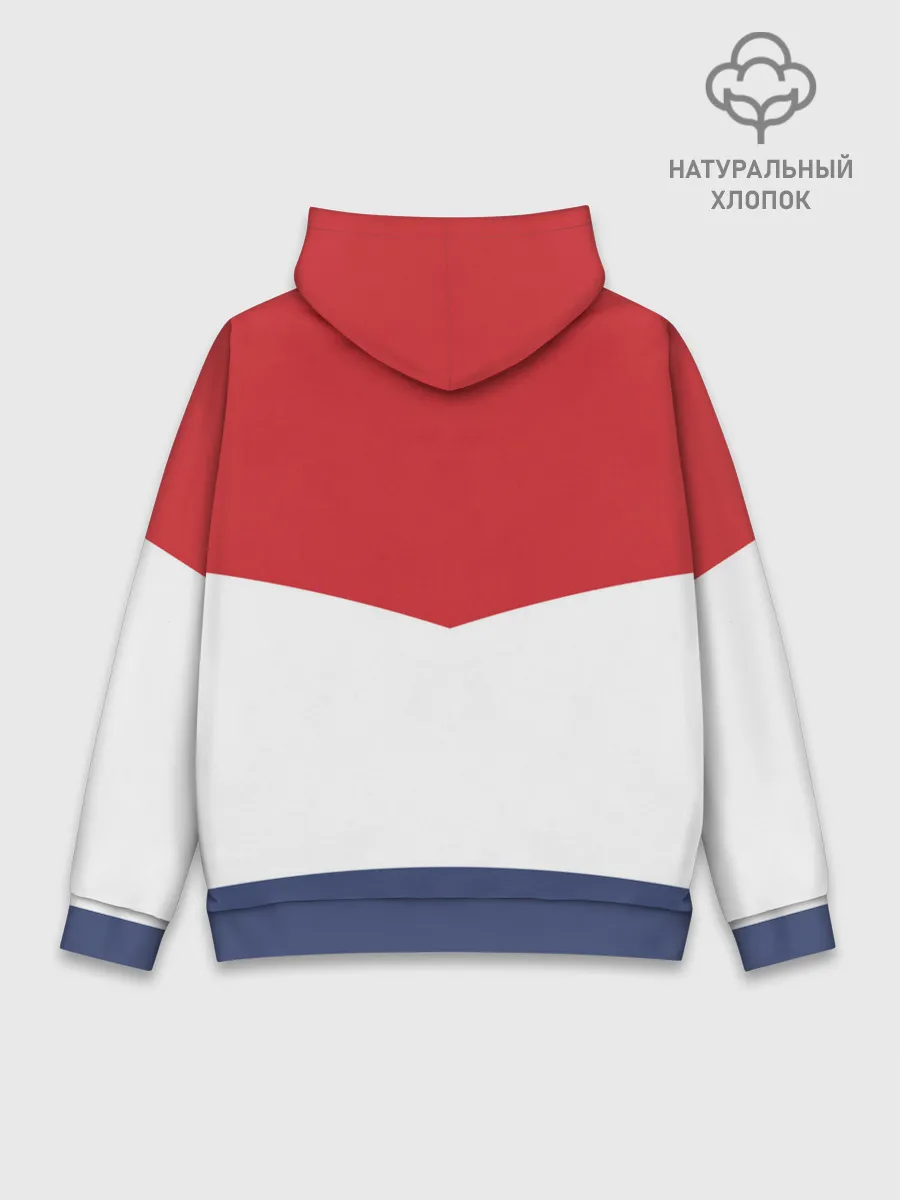 Худи мужской база хлопок / Russia