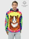Худи мужской база хлопок / Psychedelic Rainbow Cat