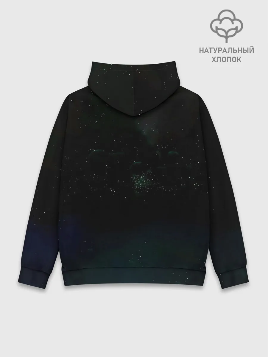 Худи мужской база хлопок / Evanescence lost in paradise