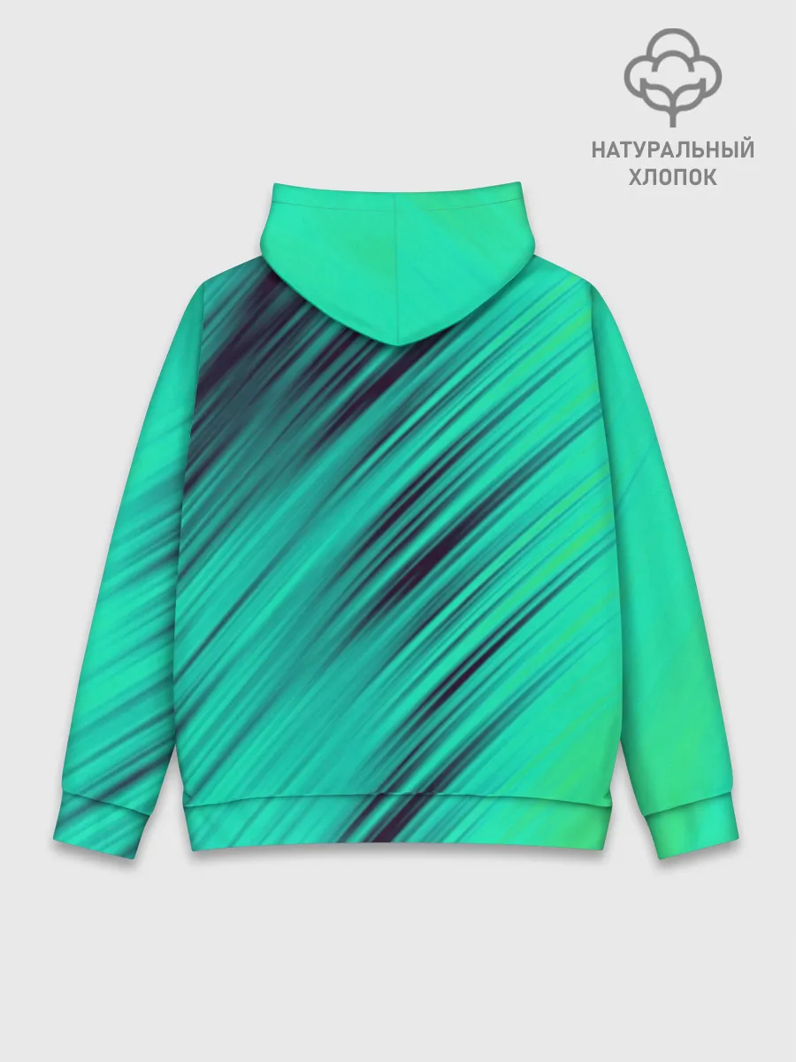 Худи мужской база хлопок / Нилетто / Niletto лого