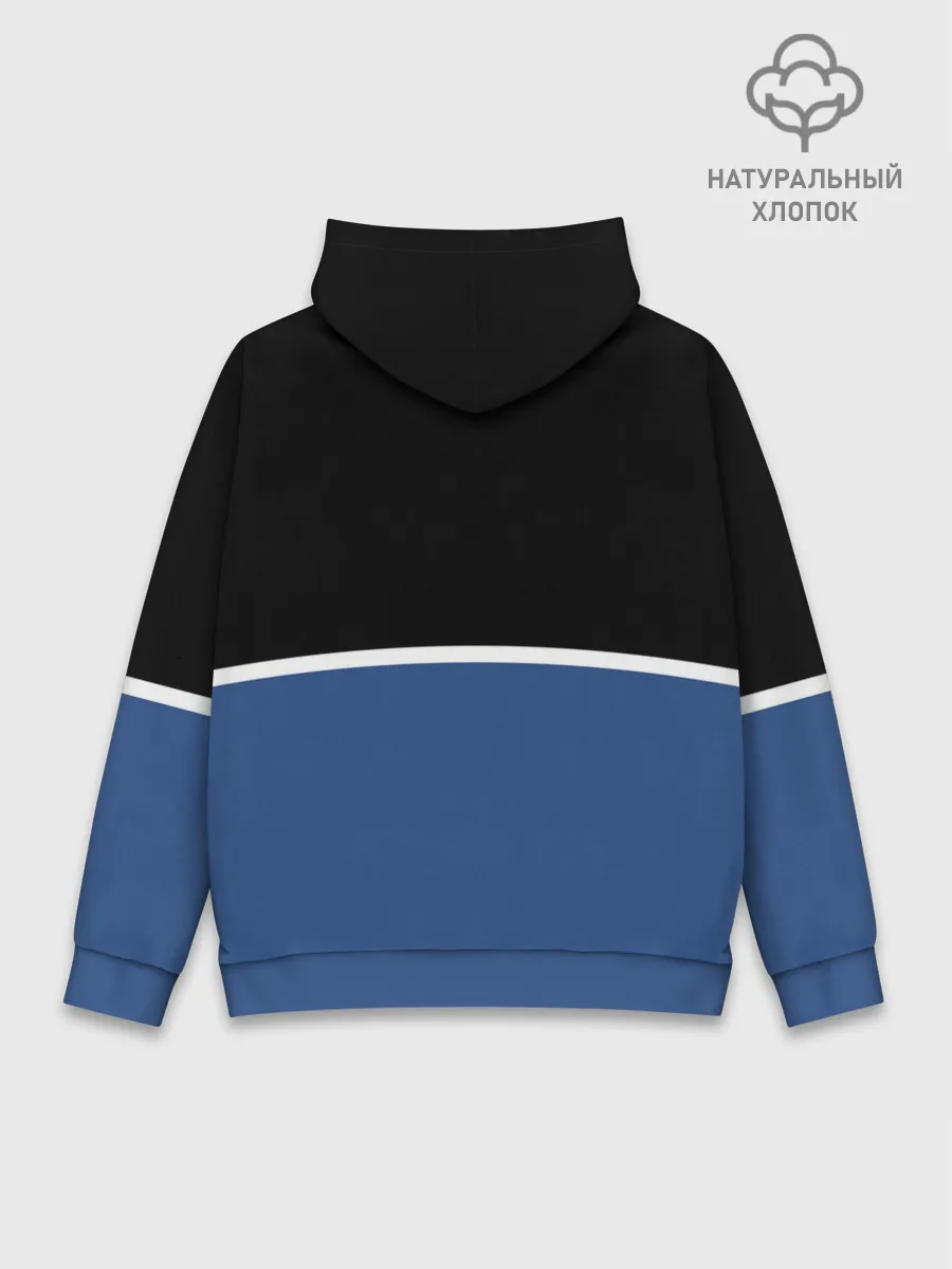 Худи мужской база хлопок / VW | Два цвета