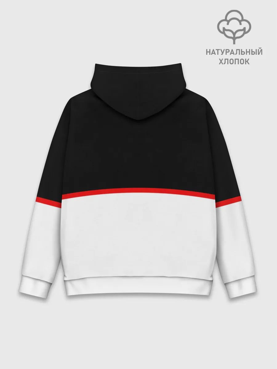 Худи мужской база хлопок / Mitsubushi | Два цвета