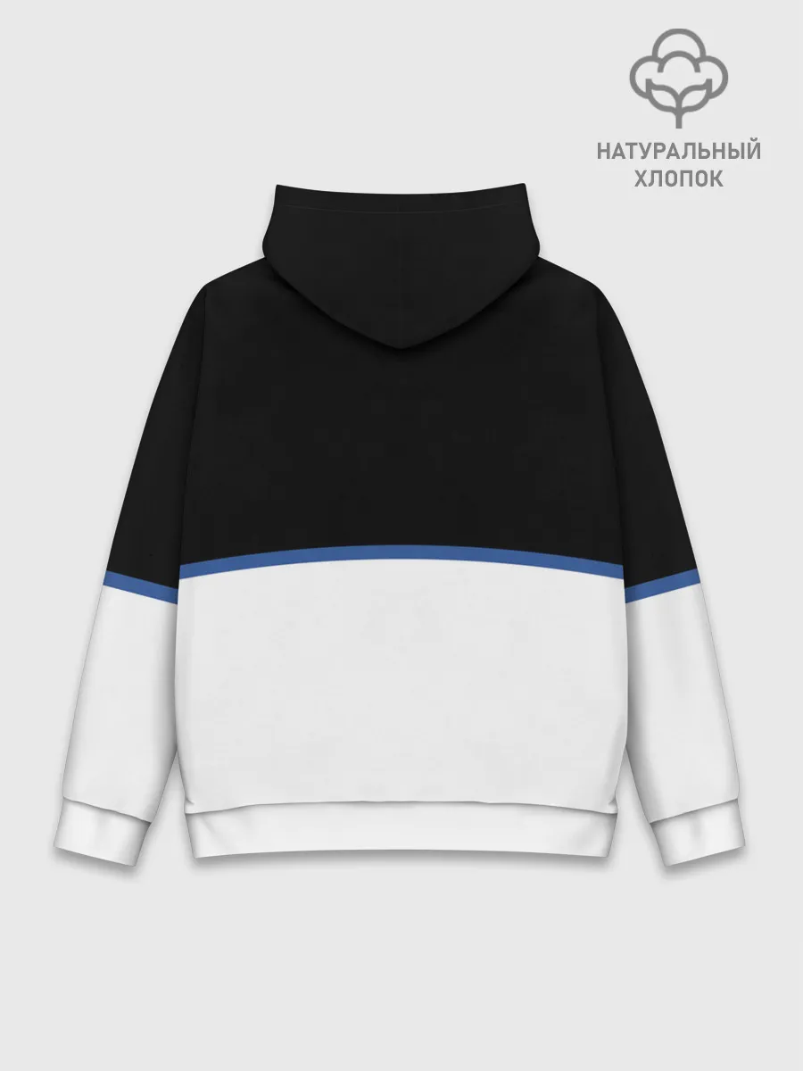 Худи мужской база хлопок / Subaru | Два цвета