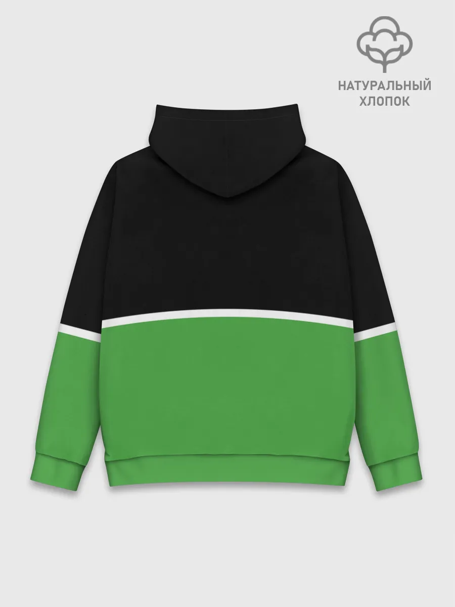 Худи мужской база хлопок / Skoda | Два цвета