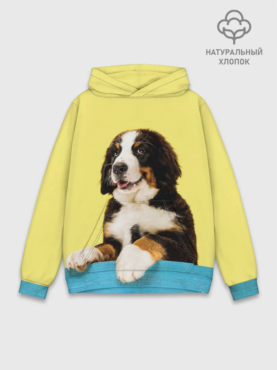 Худи мужской база хлопок / Бернский зенненхунд, Berner Sennenhund