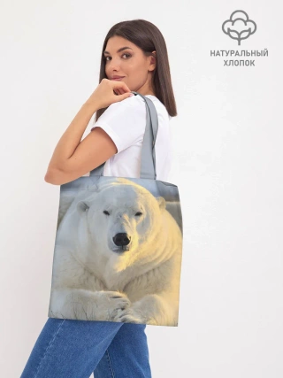 Шоппер база / Медведь