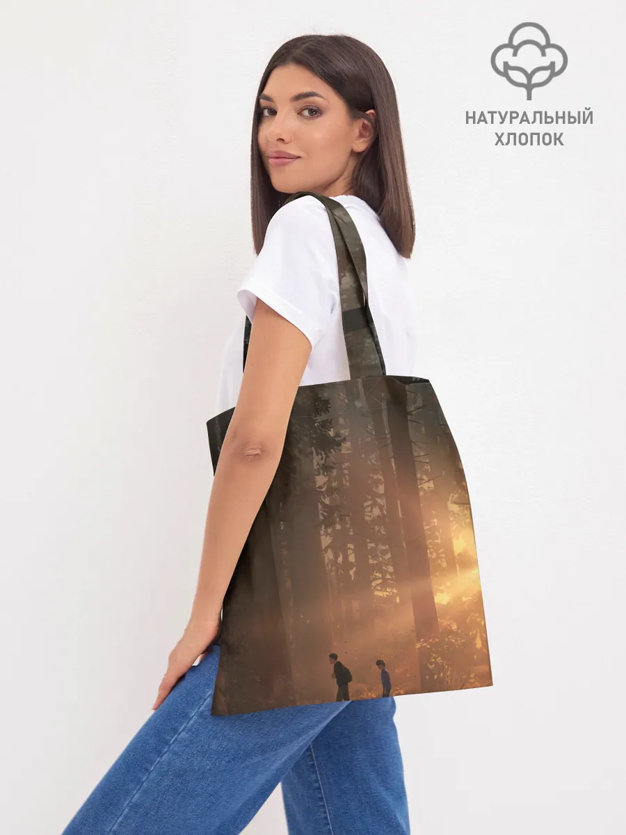 Шоппер база / Life is Strange 2