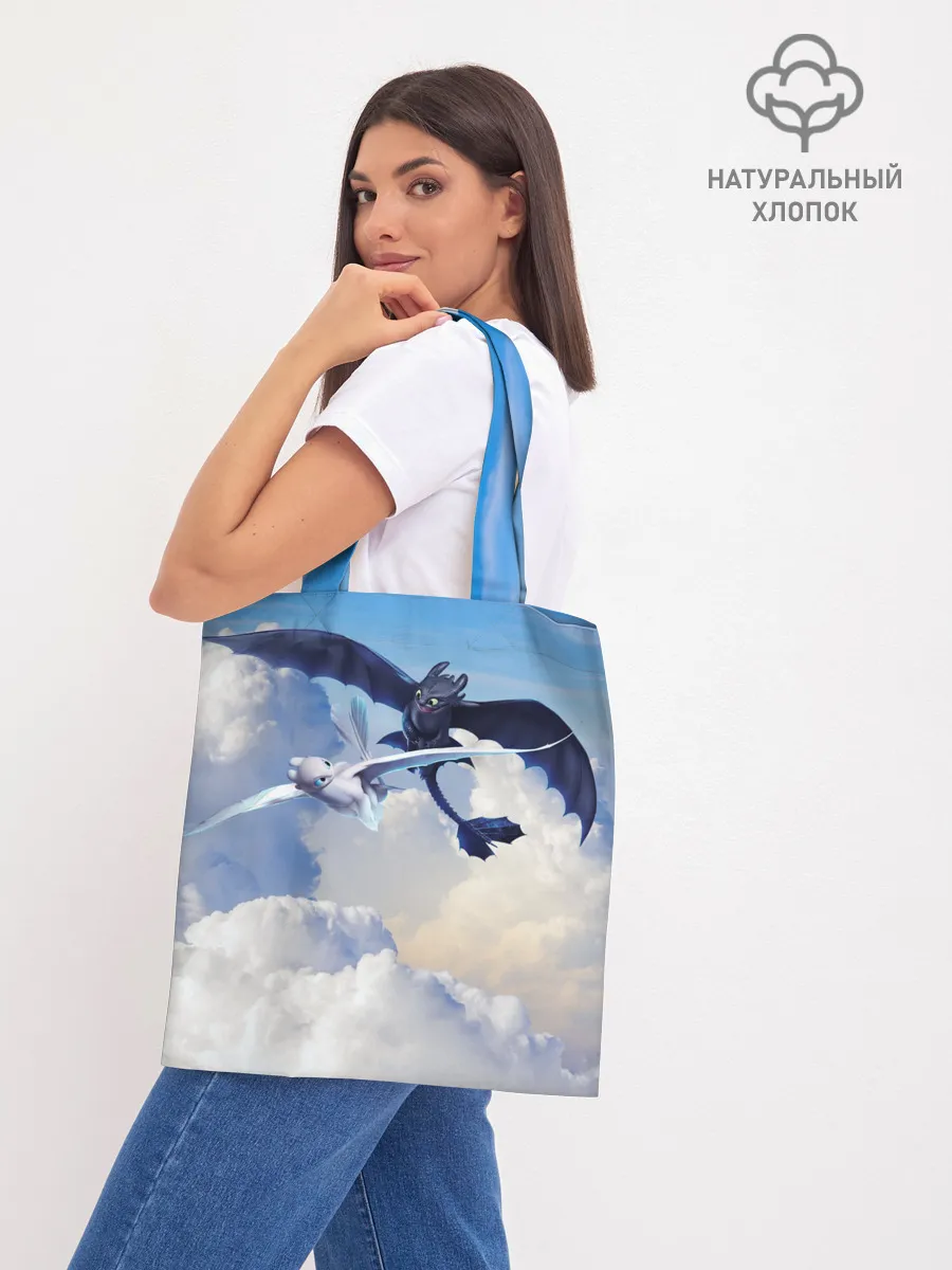 Шоппер база / Night Fury