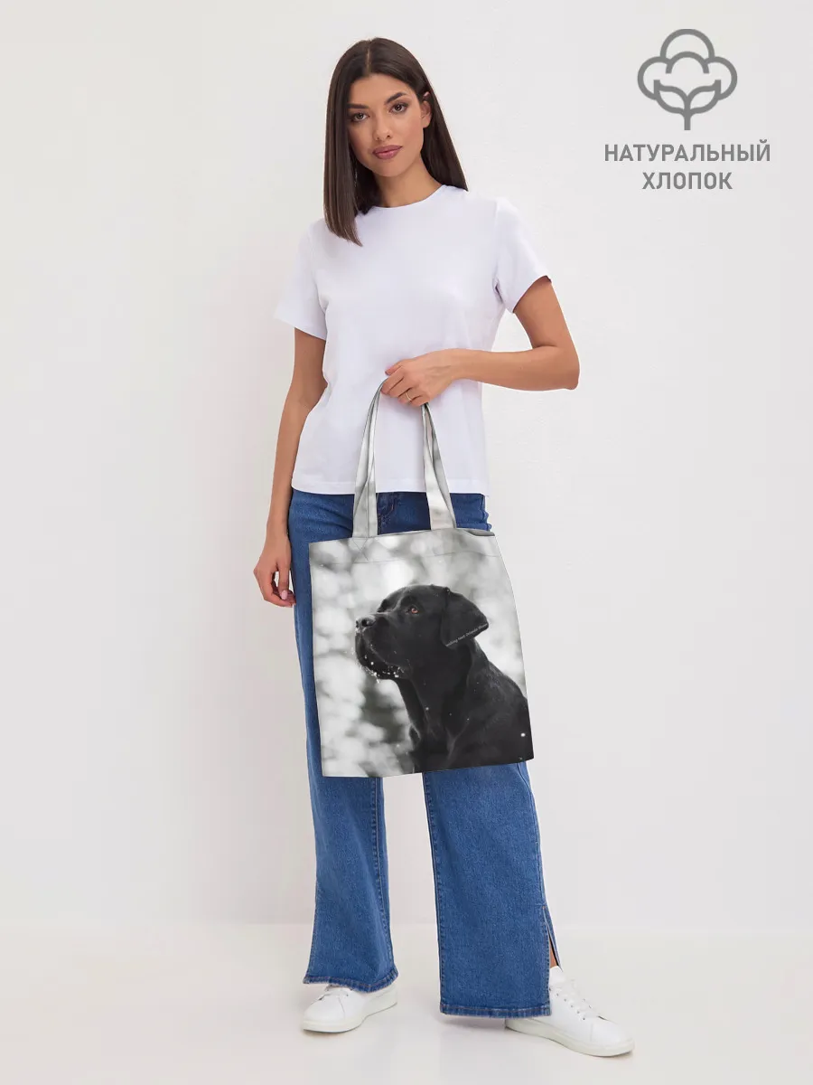 Шоппер база / Лабрадор Марк